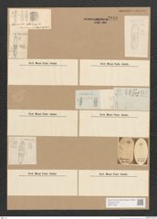 Diatomeae indet. Zeichnungen Sammlung Grunow Nr. 3916 (NHMW-BOT-W0371650)